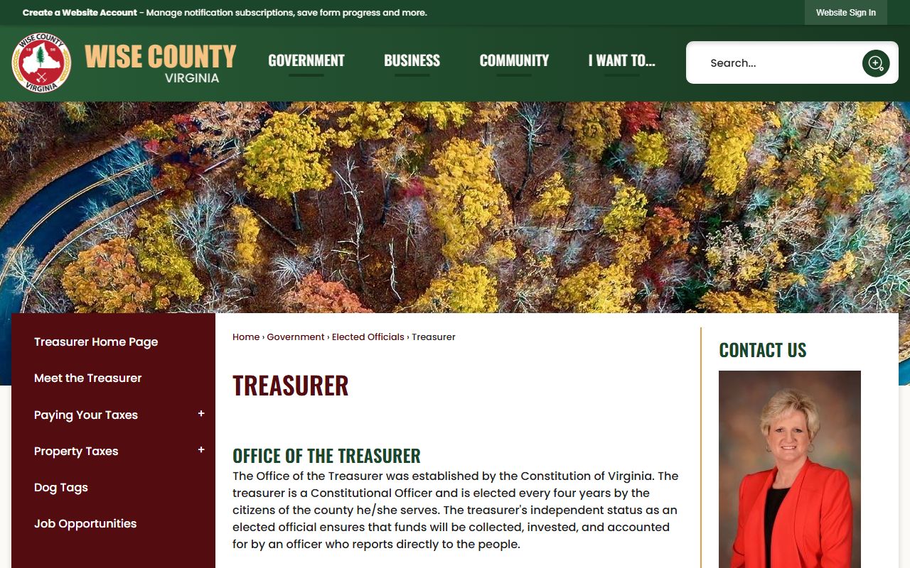 wise county property records treasurer tax collection office